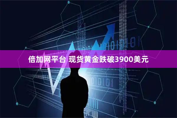 倍加网平台 现货黄金跌破3900美元
