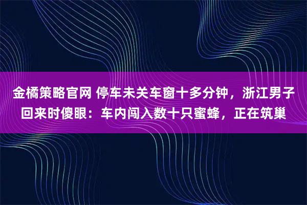 金橘策略官网 停车未关车窗十多分钟，浙江男子回来时傻眼：车内闯入数十只蜜蜂，正在筑巢