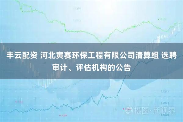 丰云配资 河北寅赛环保工程有限公司清算组 选聘审计、评估机构的公告